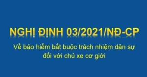 nghị định 03 năm 2021 của chính phủ
