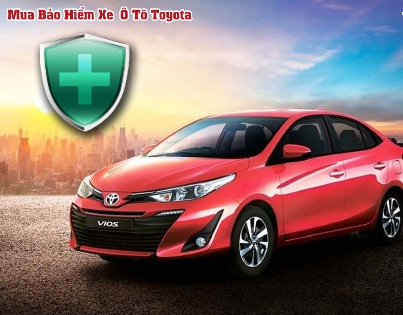 14-bao-hiem-than-vo-xe-o-to-Vios-2