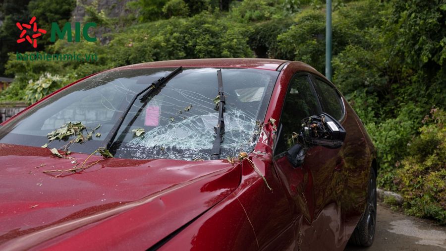 quy trinh xu ly bao hiem than vo